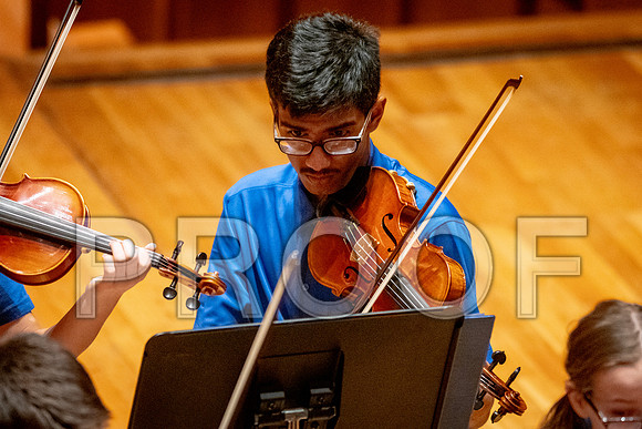 2024 University of Illinois High School Orchestra ClinicFebruary 24, 2024