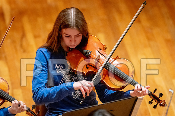 2024 University of Illinois High School Orchestra ClinicFebruary 24, 2024