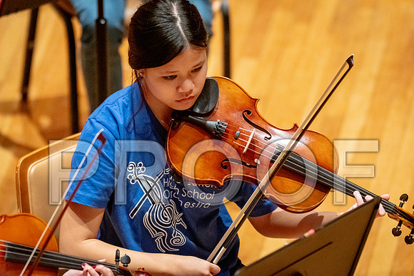 2024 University of Illinois High School Orchestra ClinicFebruary 24, 2024