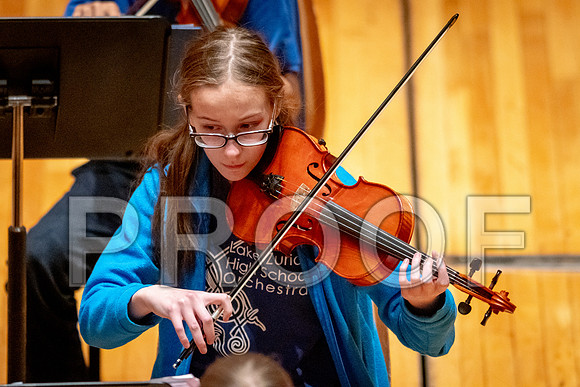 2024 University of Illinois High School Orchestra ClinicFebruary 24, 2024