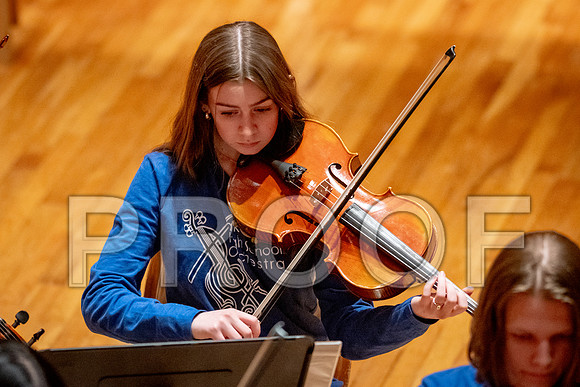 2024 University of Illinois High School Orchestra ClinicFebruary 24, 2024