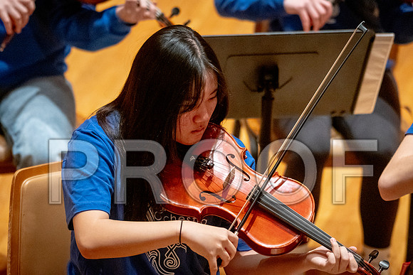 2024 University of Illinois High School Orchestra ClinicFebruary 24, 2024