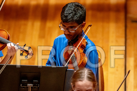 2024 University of Illinois High School Orchestra ClinicFebruary 24, 2024