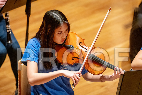 2024 University of Illinois High School Orchestra ClinicFebruary 24, 2024