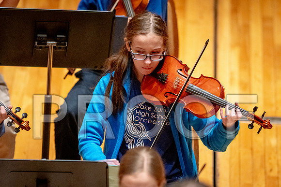 2024 University of Illinois High School Orchestra ClinicFebruary 24, 2024
