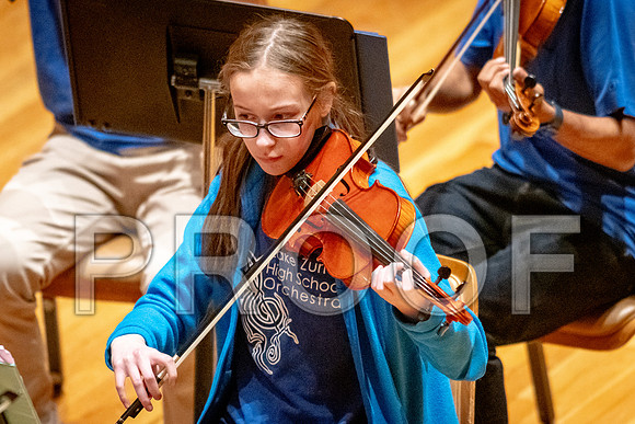 2024 University of Illinois High School Orchestra ClinicFebruary 24, 2024