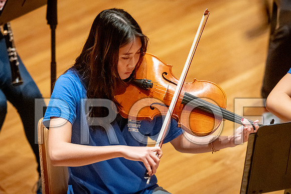2024 University of Illinois High School Orchestra ClinicFebruary 24, 2024