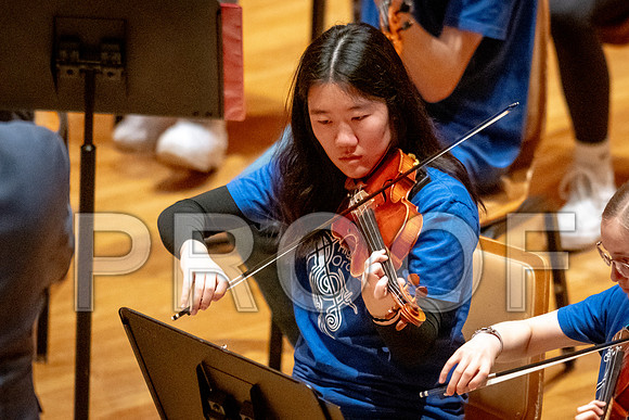 2024 University of Illinois High School Orchestra ClinicFebruary 24, 2024