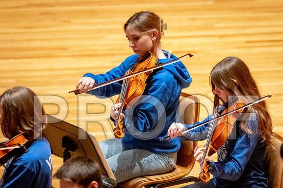 2024 University of Illinois High School Orchestra ClinicFebruary 24, 2024