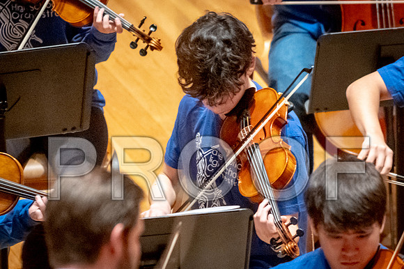 2024 University of Illinois High School Orchestra ClinicFebruary 24, 2024