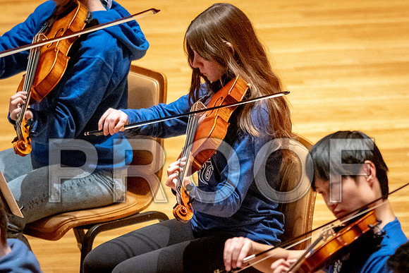 2024 University of Illinois High School Orchestra ClinicFebruary 24, 2024