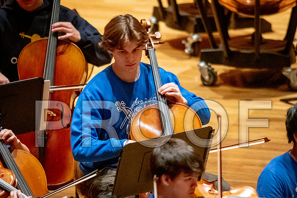 2024 University of Illinois High School Orchestra ClinicFebruary 24, 2024