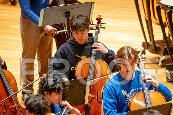 2024 University of Illinois High School Orchestra ClinicFebruary 24, 2024