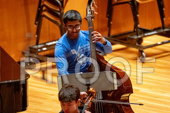 2024 University of Illinois High School Orchestra ClinicFebruary 24, 2024
