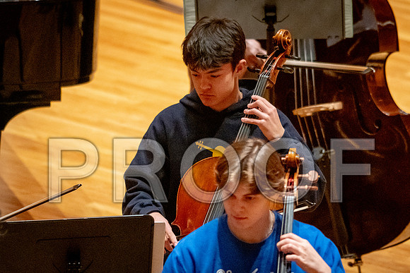 2024 University of Illinois High School Orchestra ClinicFebruary 24, 2024