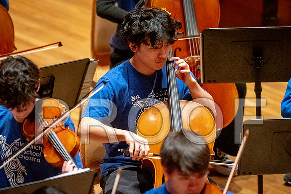 2024 University of Illinois High School Orchestra ClinicFebruary 24, 2024
