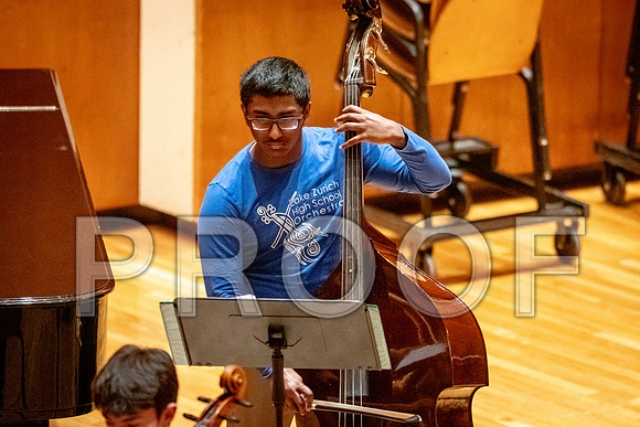 2024 University of Illinois High School Orchestra ClinicFebruary 24, 2024