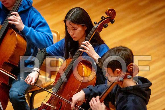 2024 University of Illinois High School Orchestra ClinicFebruary 24, 2024