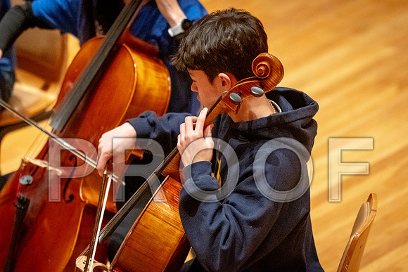 2024 University of Illinois High School Orchestra ClinicFebruary 24, 2024