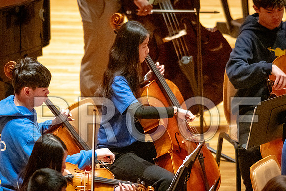 2024 University of Illinois High School Orchestra ClinicFebruary 24, 2024