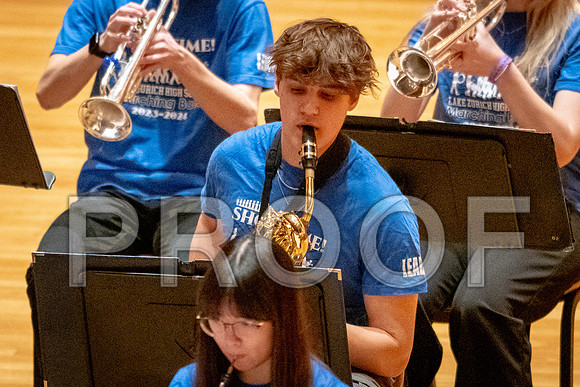 2024 University of Illinois High School Orchestra ClinicFebruary 24, 2024
