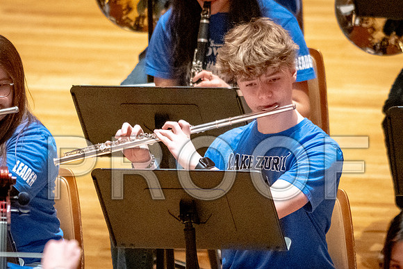 2024 University of Illinois High School Orchestra ClinicFebruary 24, 2024
