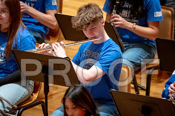 2024 University of Illinois High School Orchestra ClinicFebruary 24, 2024