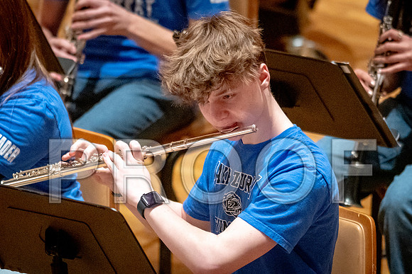 2024 University of Illinois High School Orchestra ClinicFebruary 24, 2024