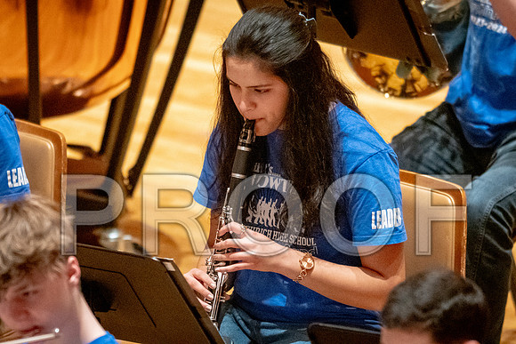 2024 University of Illinois High School Orchestra ClinicFebruary 24, 2024