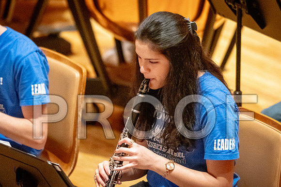 2024 University of Illinois High School Orchestra ClinicFebruary 24, 2024