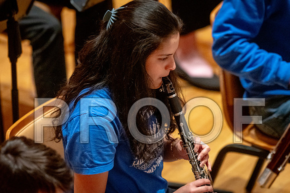 2024 University of Illinois High School Orchestra ClinicFebruary 24, 2024
