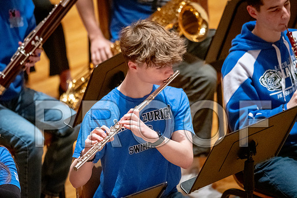 2024 University of Illinois High School Orchestra ClinicFebruary 24, 2024
