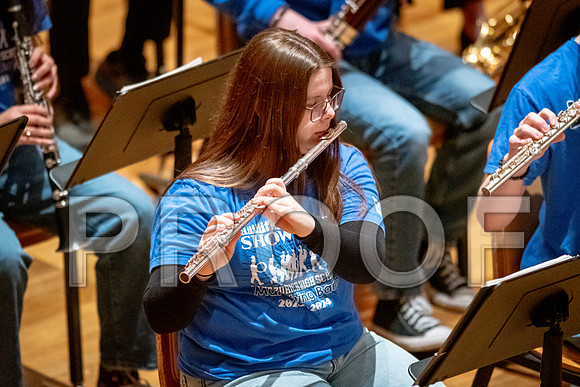 2024 University of Illinois High School Orchestra ClinicFebruary 24, 2024