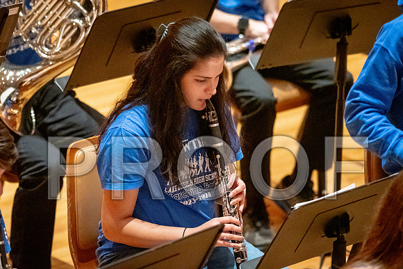 2024 University of Illinois High School Orchestra ClinicFebruary 24, 2024