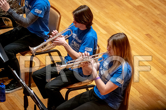 2024 University of Illinois High School Orchestra ClinicFebruary 24, 2024