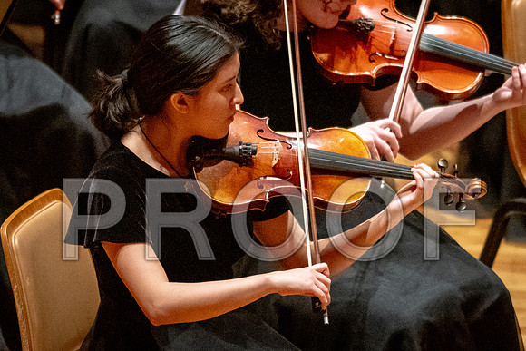2024 University of Illinois High School Orchestra ClinicFebruary 24, 2024