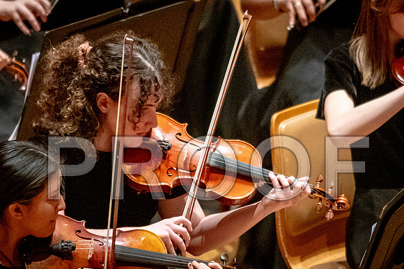 2024 University of Illinois High School Orchestra ClinicFebruary 24, 2024