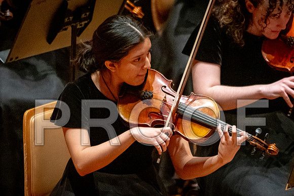 2024 University of Illinois High School Orchestra ClinicFebruary 24, 2024