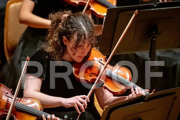 2024 University of Illinois High School Orchestra ClinicFebruary 24, 2024