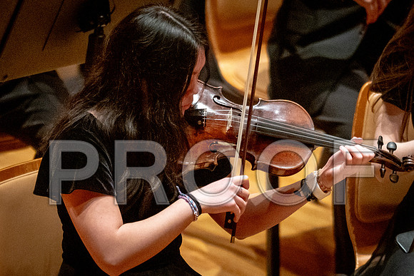 2024 University of Illinois High School Orchestra ClinicFebruary 24, 2024