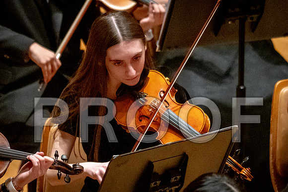2024 University of Illinois High School Orchestra ClinicFebruary 24, 2024