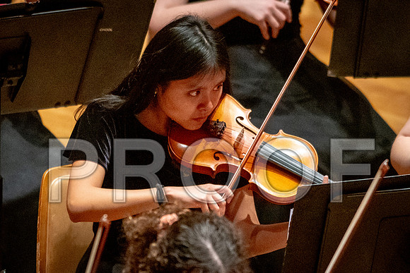 2024 University of Illinois High School Orchestra ClinicFebruary 24, 2024