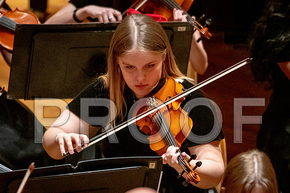 2024 University of Illinois High School Orchestra ClinicFebruary 24, 2024
