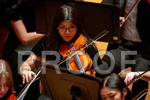 2024 University of Illinois High School Orchestra ClinicFebruary 24, 2024