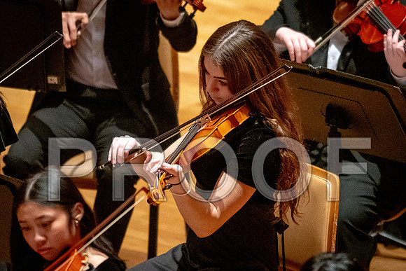 2024 University of Illinois High School Orchestra ClinicFebruary 24, 2024