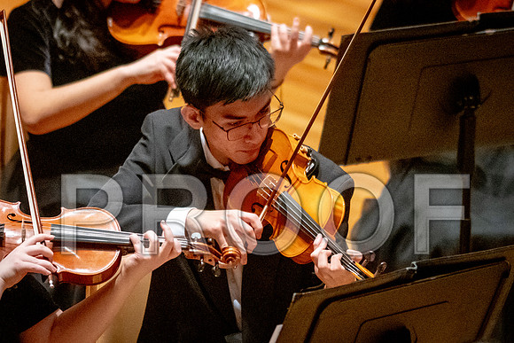 2024 University of Illinois High School Orchestra ClinicFebruary 24, 2024