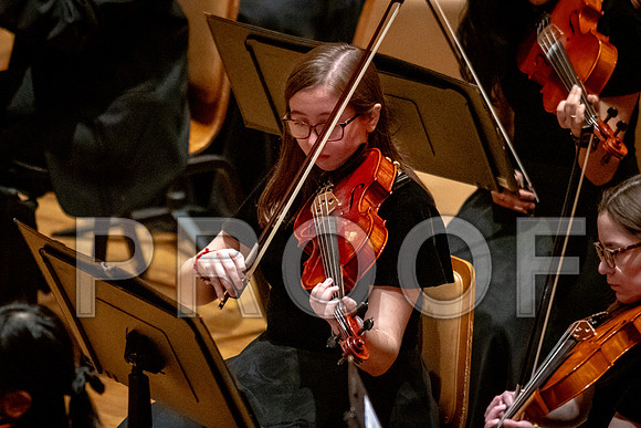 2024 University of Illinois High School Orchestra ClinicFebruary 24, 2024