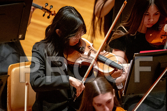 2024 University of Illinois High School Orchestra ClinicFebruary 24, 2024