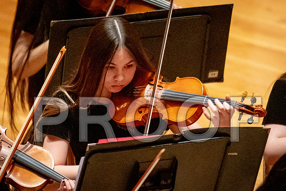 2024 University of Illinois High School Orchestra ClinicFebruary 24, 2024