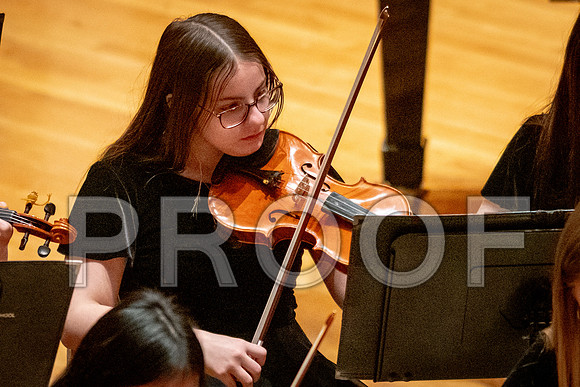 2024 University of Illinois High School Orchestra ClinicFebruary 24, 2024